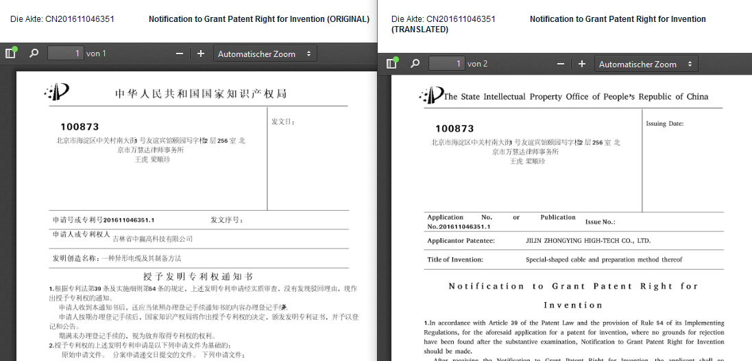 CN-Erteilungsbeschluss